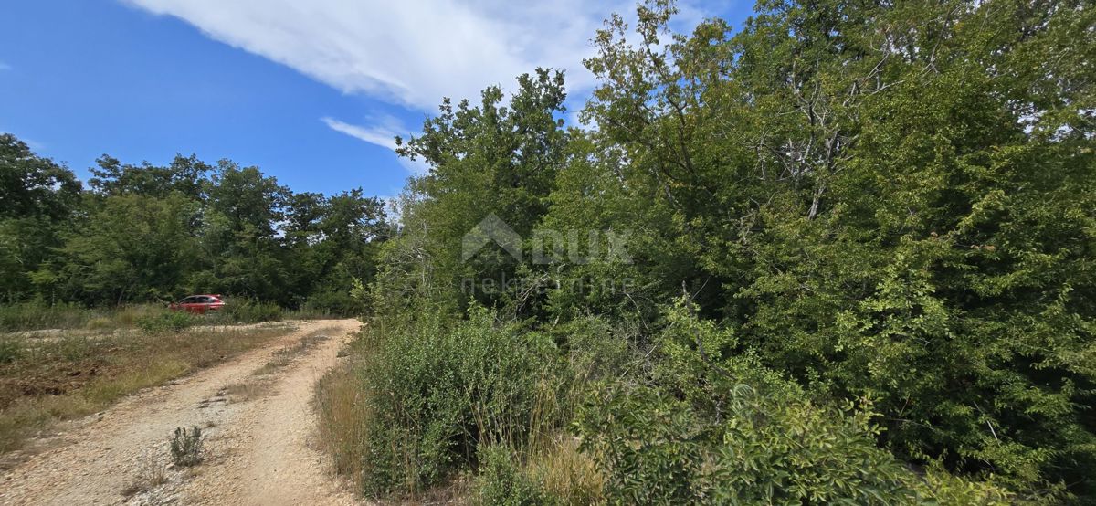 Terreno Vodnjan, 20.330m2