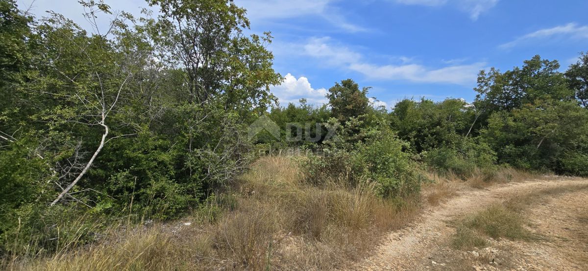 Terreno Vodnjan, 20.330m2