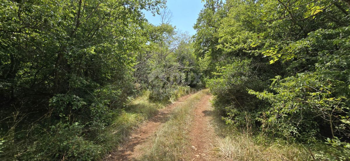 Terreno Vodnjan, 20.330m2