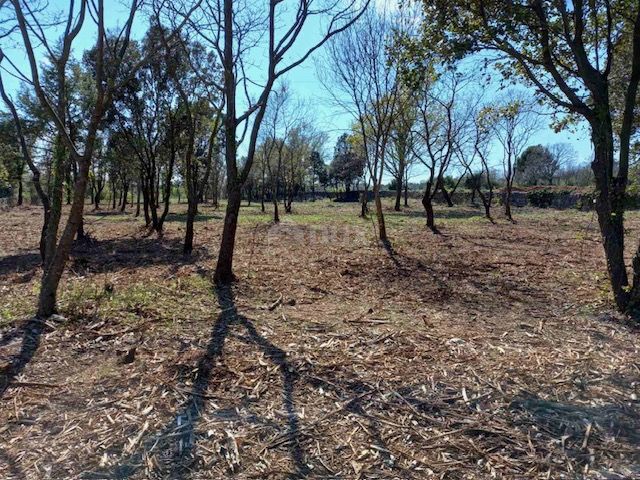 ISTRIA, RAKALJ - Verde agricolo in una posizione privilegiata