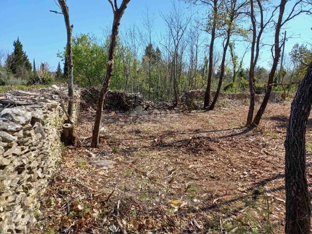 ISTRIA, RAKALJ - Verde agricolo in una posizione privilegiata