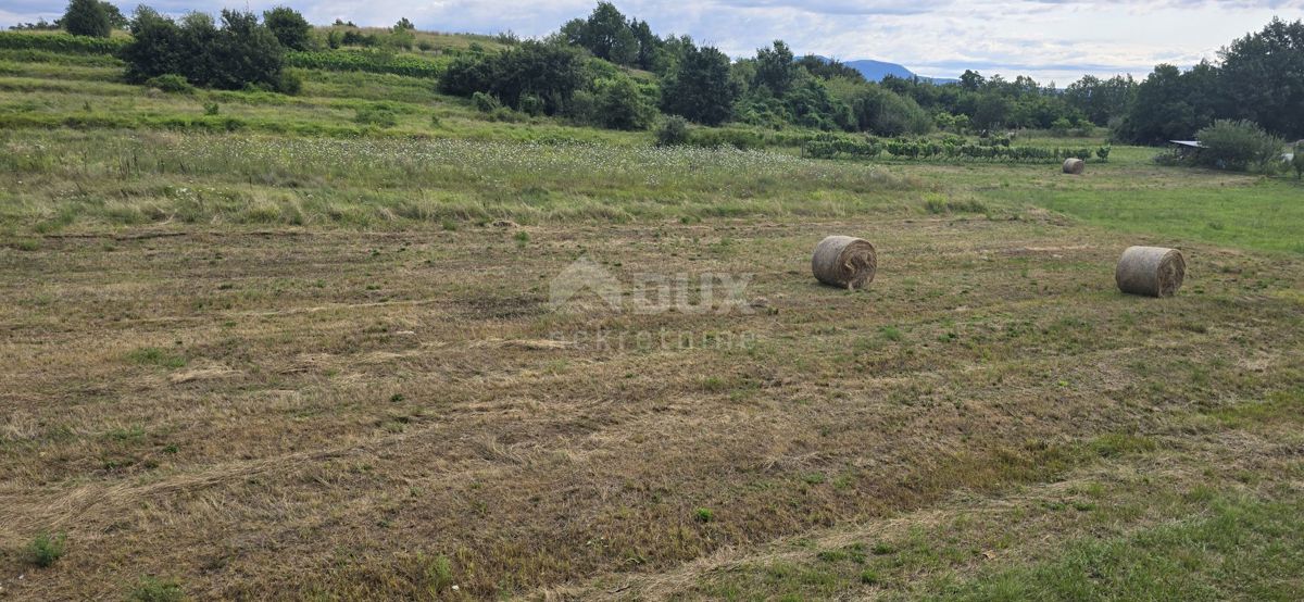 ISTRA, PIĆAN - Terreno edificabile adatto per investitori