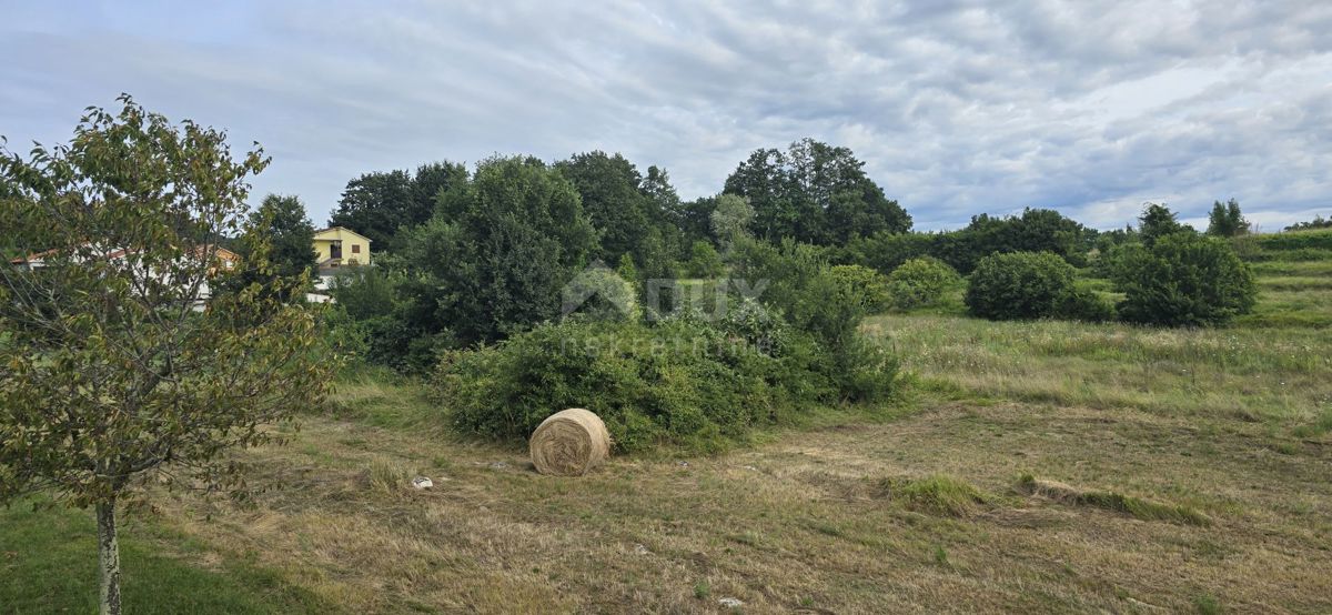 ISTRA, PIĆAN - Terreno edificabile adatto per investitori