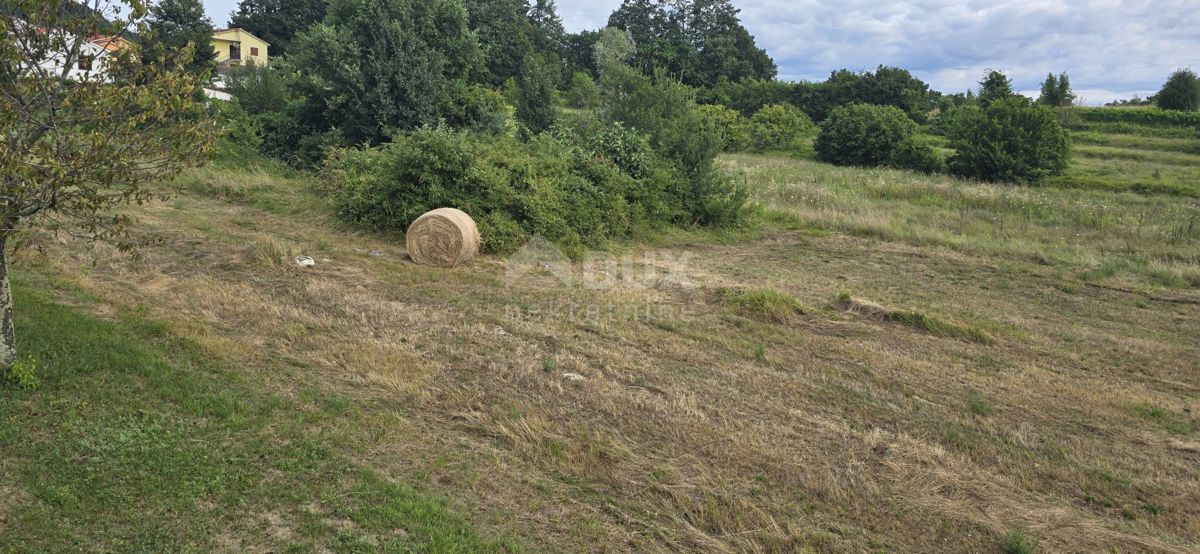 ISTRA, PIĆAN - Terreno edificabile adatto per investitori