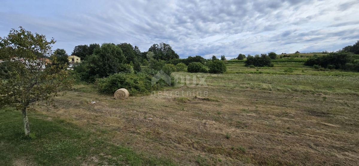 ISTRA, PIĆAN - Terreno edificabile adatto per investitori