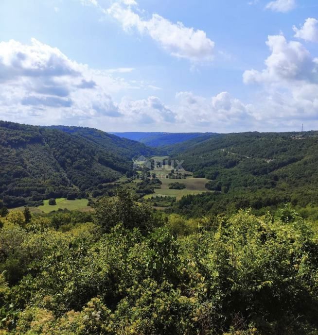 ISTRIA, TINJAN - Terreno edificabile immerso nel verde!