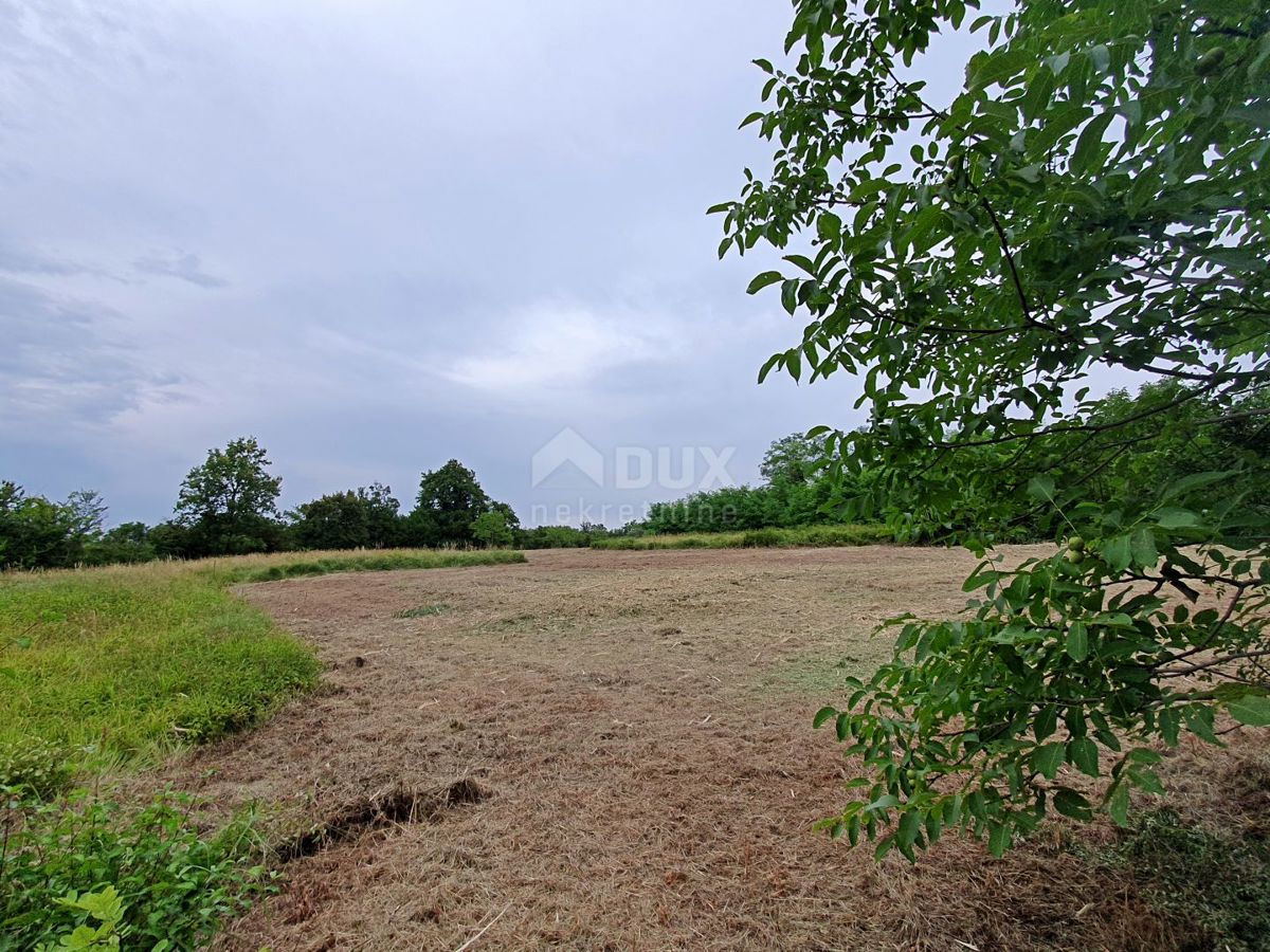 ISTRIA, BRTONIGLA - Terreno con concessione edilizia e vista panoramica