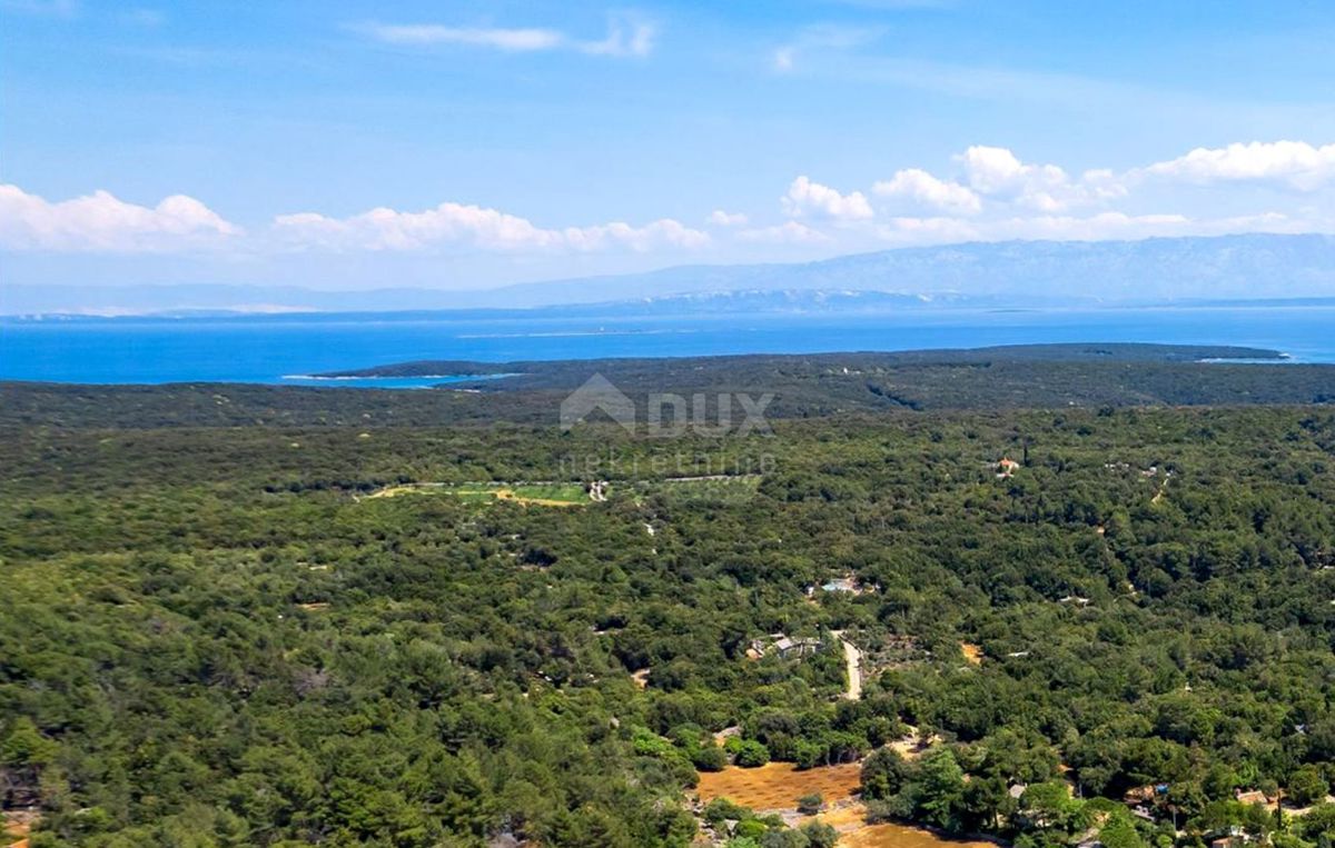 LUSSINO, MALI LOŠINJ - Uliveto a 400 metri dal mare