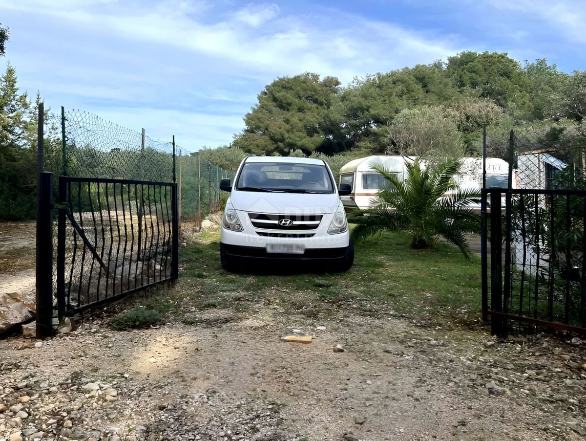 LUSSINO, MALI LOŠINJ - Uliveto a 400 metri dal mare