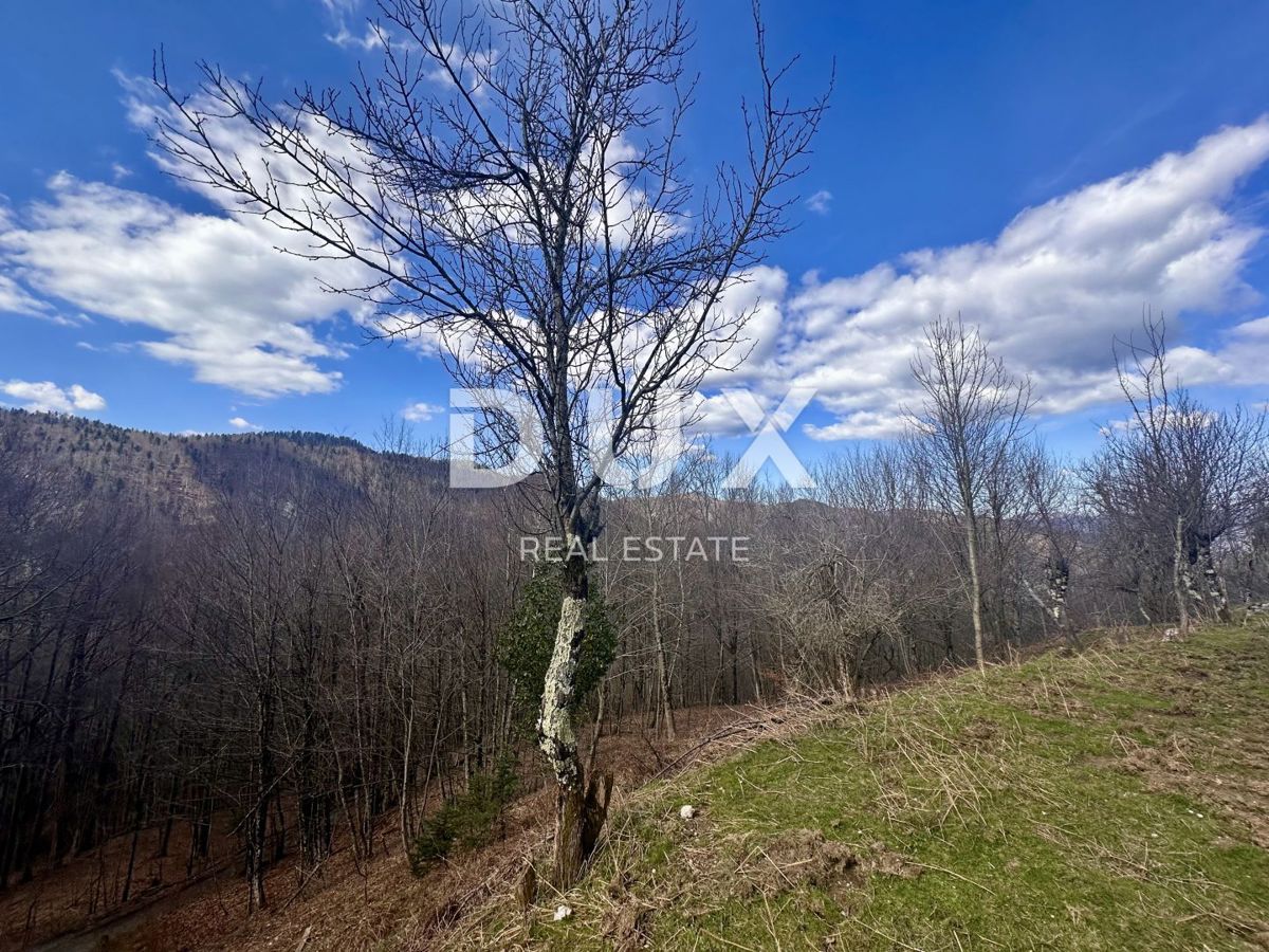 GORSKI KOTAR - Bella casa isolata nel Parco Nazionale di Risnjak