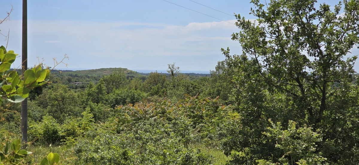 ISTRIA, BUJE - Terreno edificabile con permesso per 3 ville con piscina, bellissima vista mare