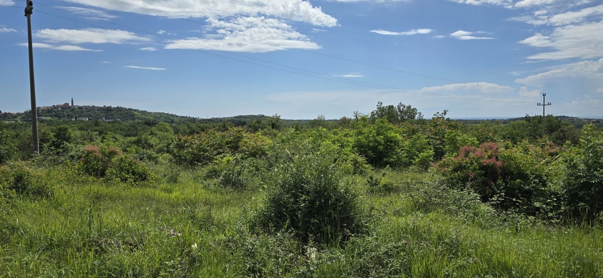 ISTRIA, BUJE - Terreno edificabile con permesso per 3 ville con piscina, bellissima vista mare