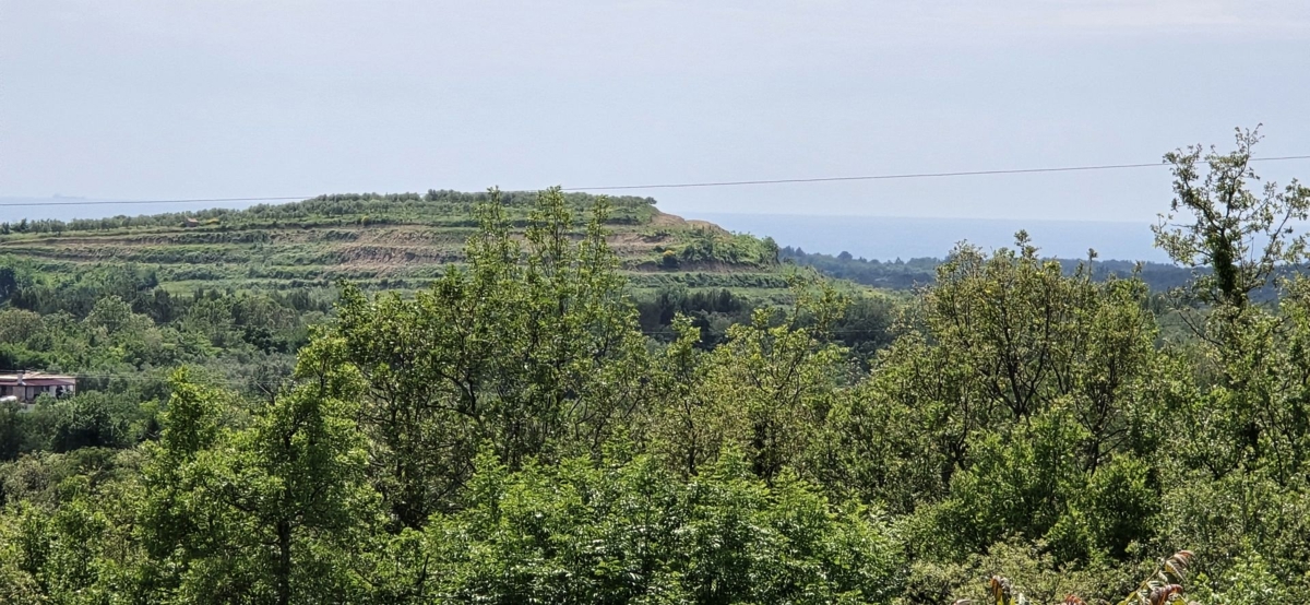 ISTRIA, BUJE - Terreno edificabile con permesso per 3 ville con piscina, bellissima vista mare