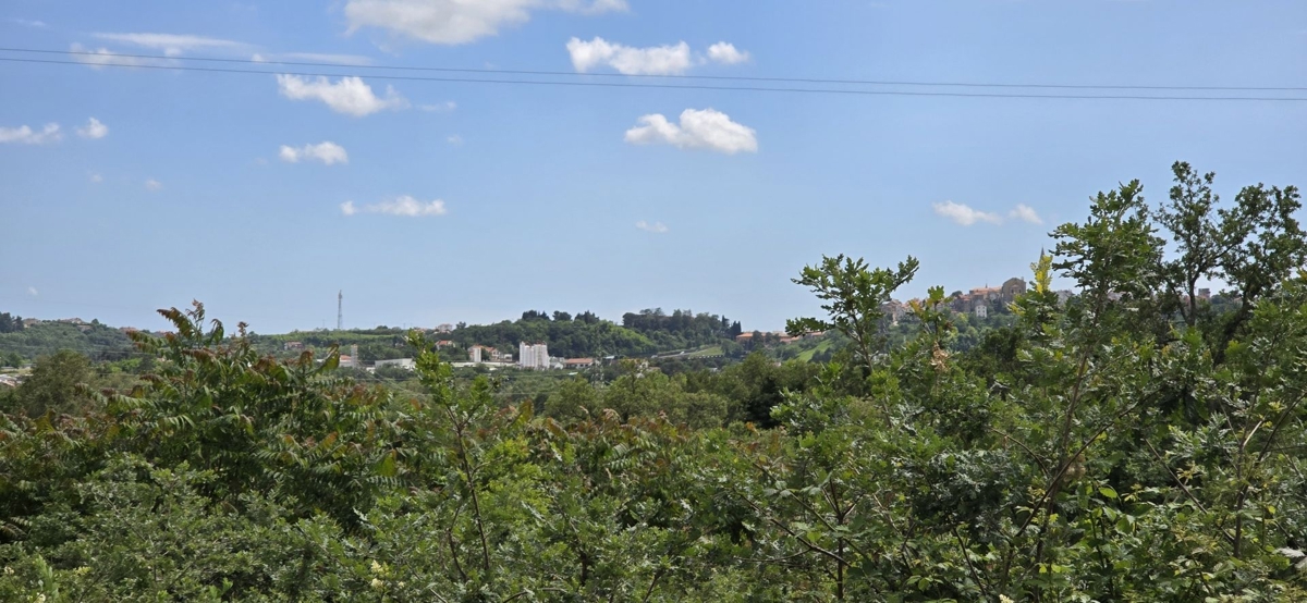 ISTRIA, BUJE - Terreno edificabile con permesso per 3 ville con piscina, bellissima vista mare