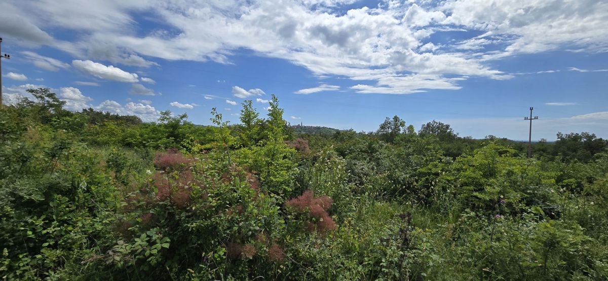 ISTRIA, BUJE - Terreno edificabile con permesso per 3 ville con piscina, bellissima vista mare