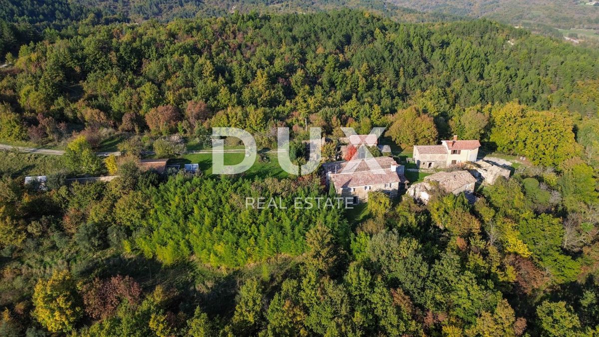 ISTRIA, LUPOGLAV, DINTORNI - tenuta di campagna in Istria con 8 case isolate - terreno di 22.000 m²