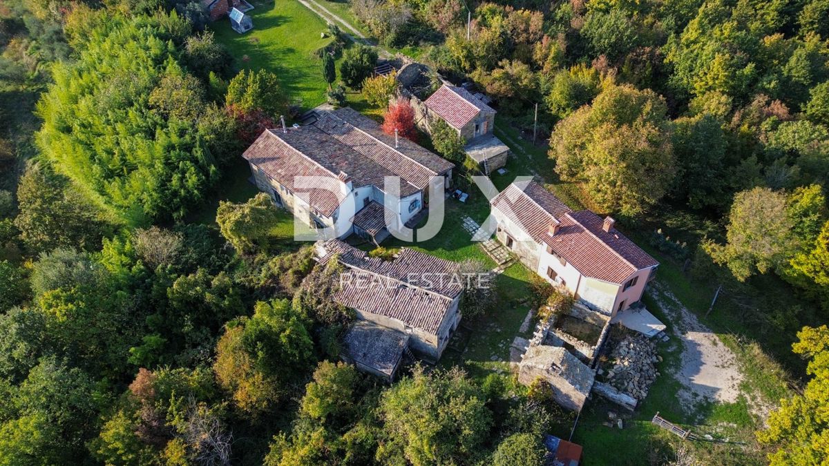 ISTRIA, LUPOGLAV, DINTORNI - tenuta di campagna in Istria con 8 case isolate - terreno di 22.000 m²