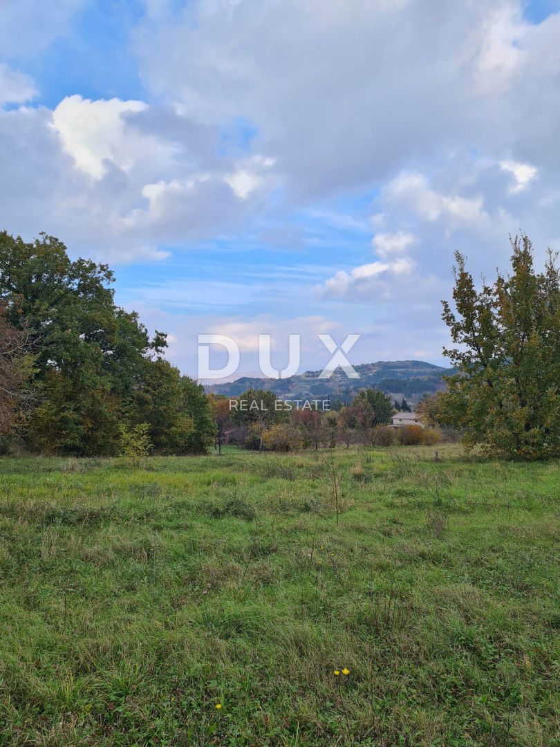 ISTRIA, MONTONA - Terreno edificabile con progetto preliminare