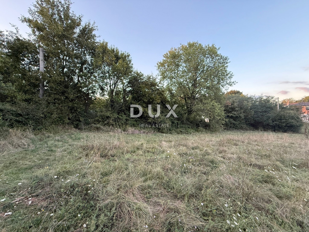 ISTRIA,ALBONA - Ampio terreno edificabile