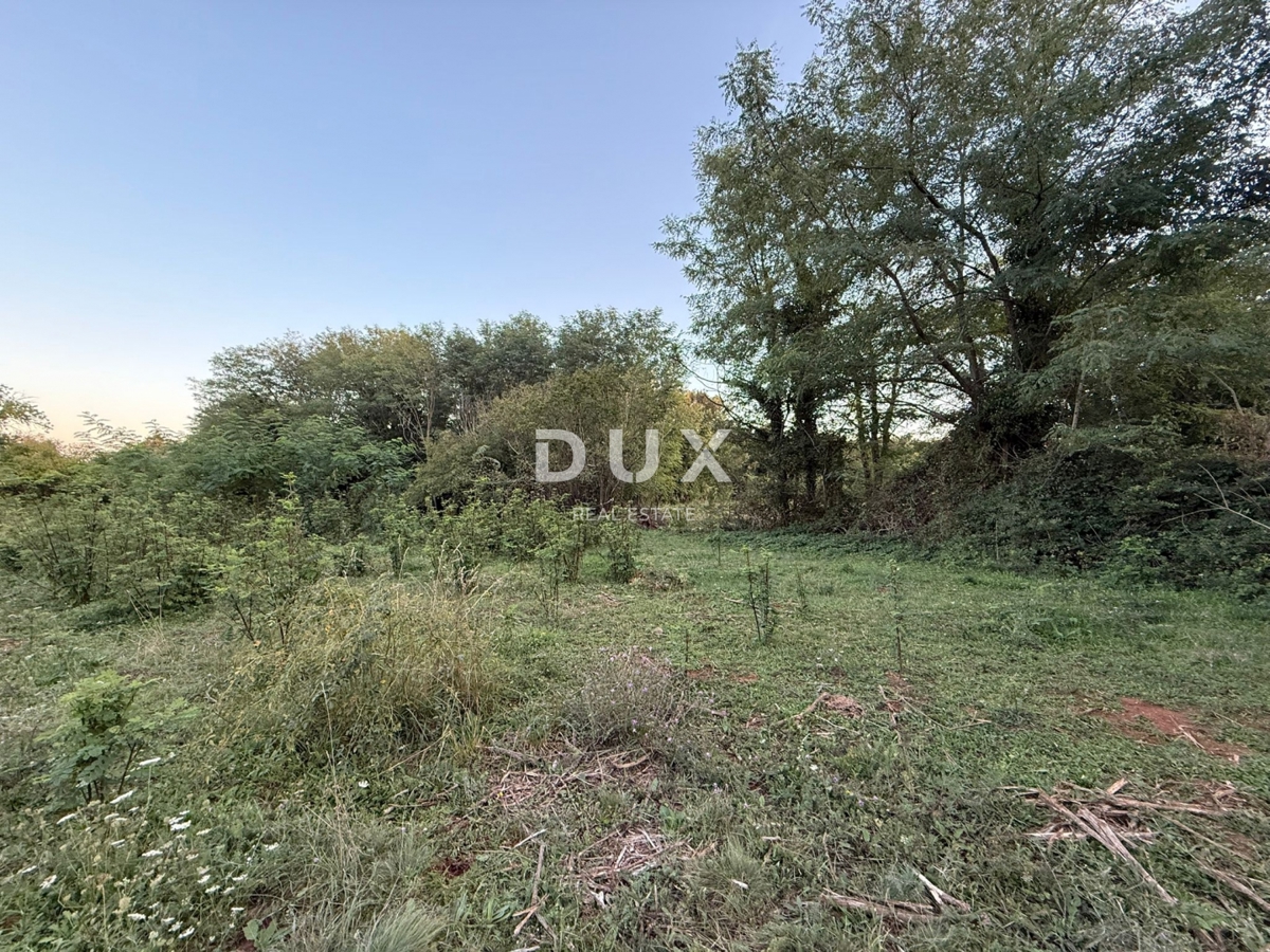 ISTRIA,ALBONA - Ampio terreno edificabile