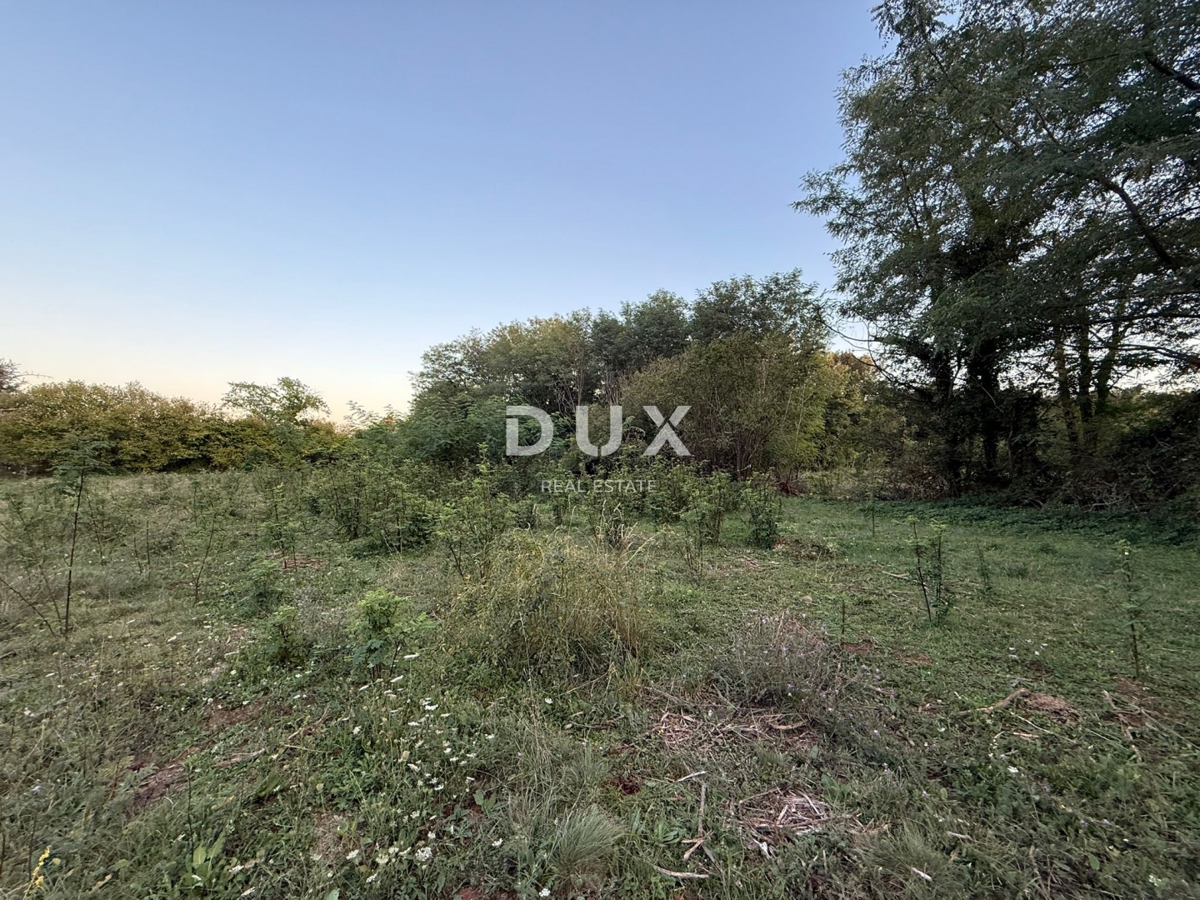 ISTRIA,ALBONA - Ampio terreno edificabile