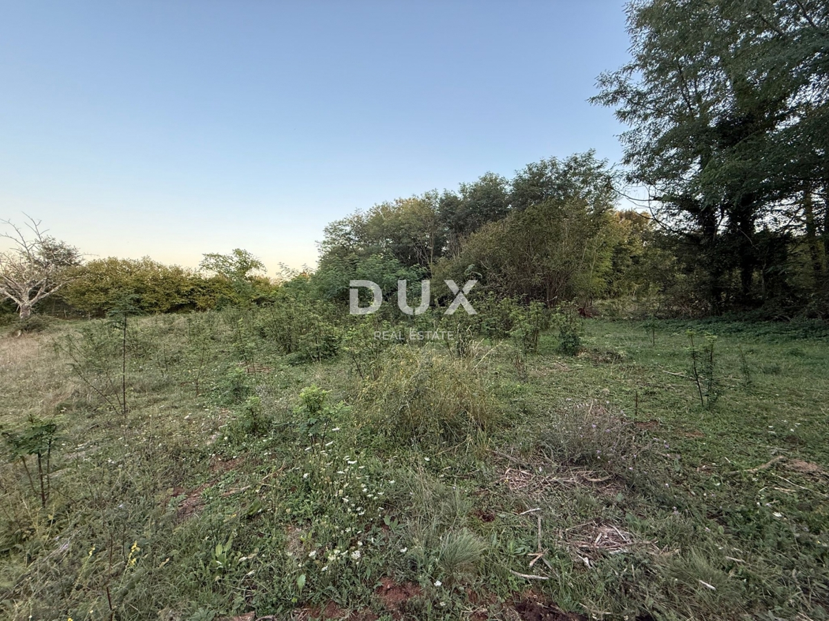 ISTRIA,ALBONA - Ampio terreno edificabile