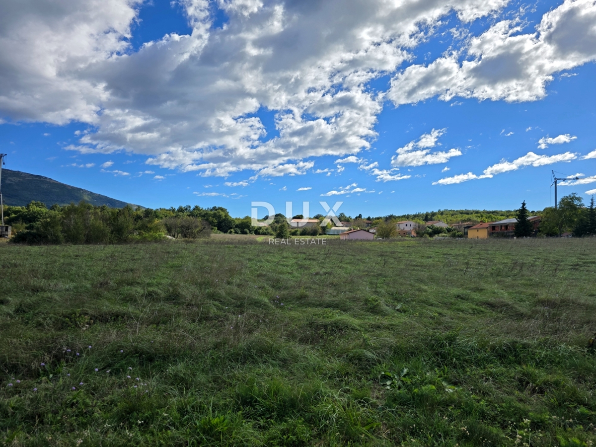 ISTRIA, ALBONA - Terreno edificabile urbanizzato