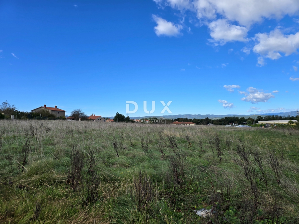 ISTRIA, ALBONA - Terreno edificabile urbanizzato