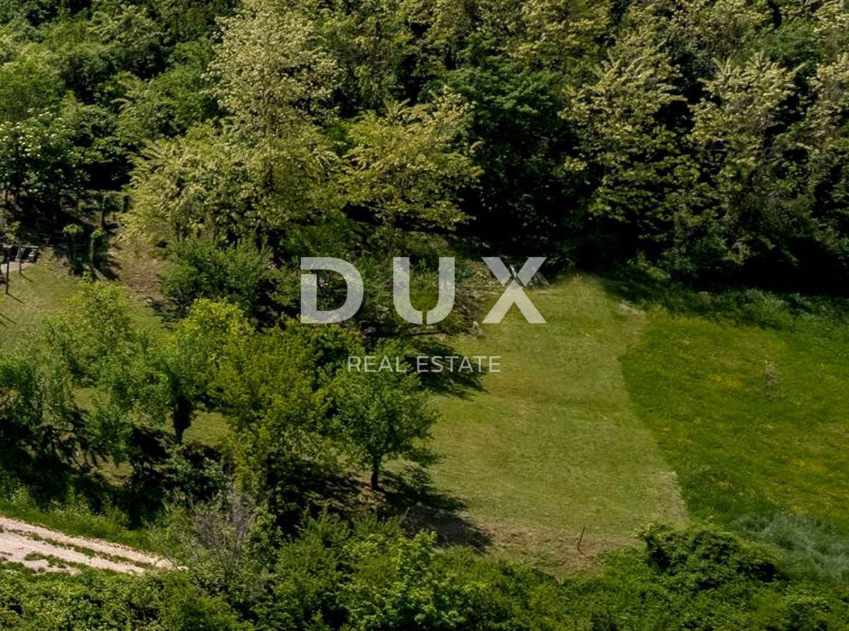 ISTRIA, MOTOVUN - Terreno con vista impressionante
