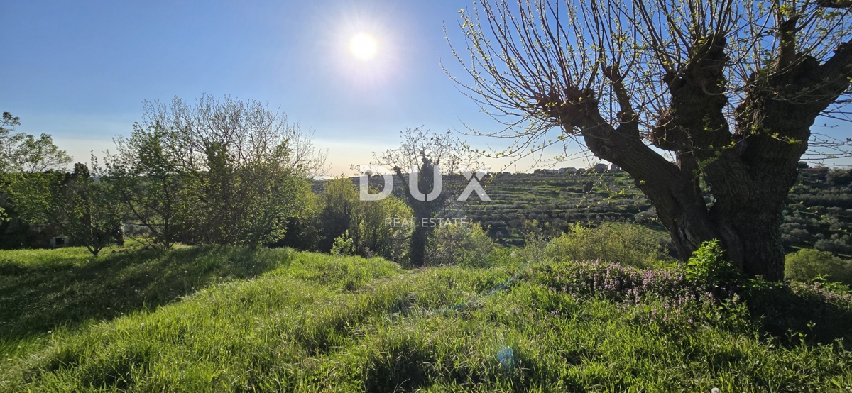 ISTRIA, MOMJAN – CASA STORICA IN PIETRA CON PROGETTO DI RISTRUTTURAZIONE