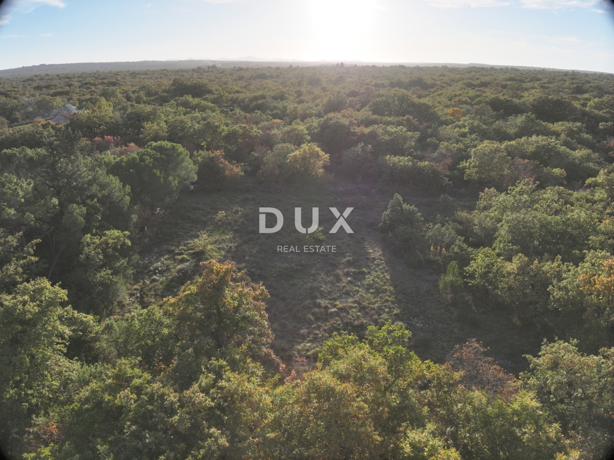 ZADAR, BRIŠEVO - Terreno edificabile in un tranquillo ambiente naturale! 698 m2! 85 €/m2!