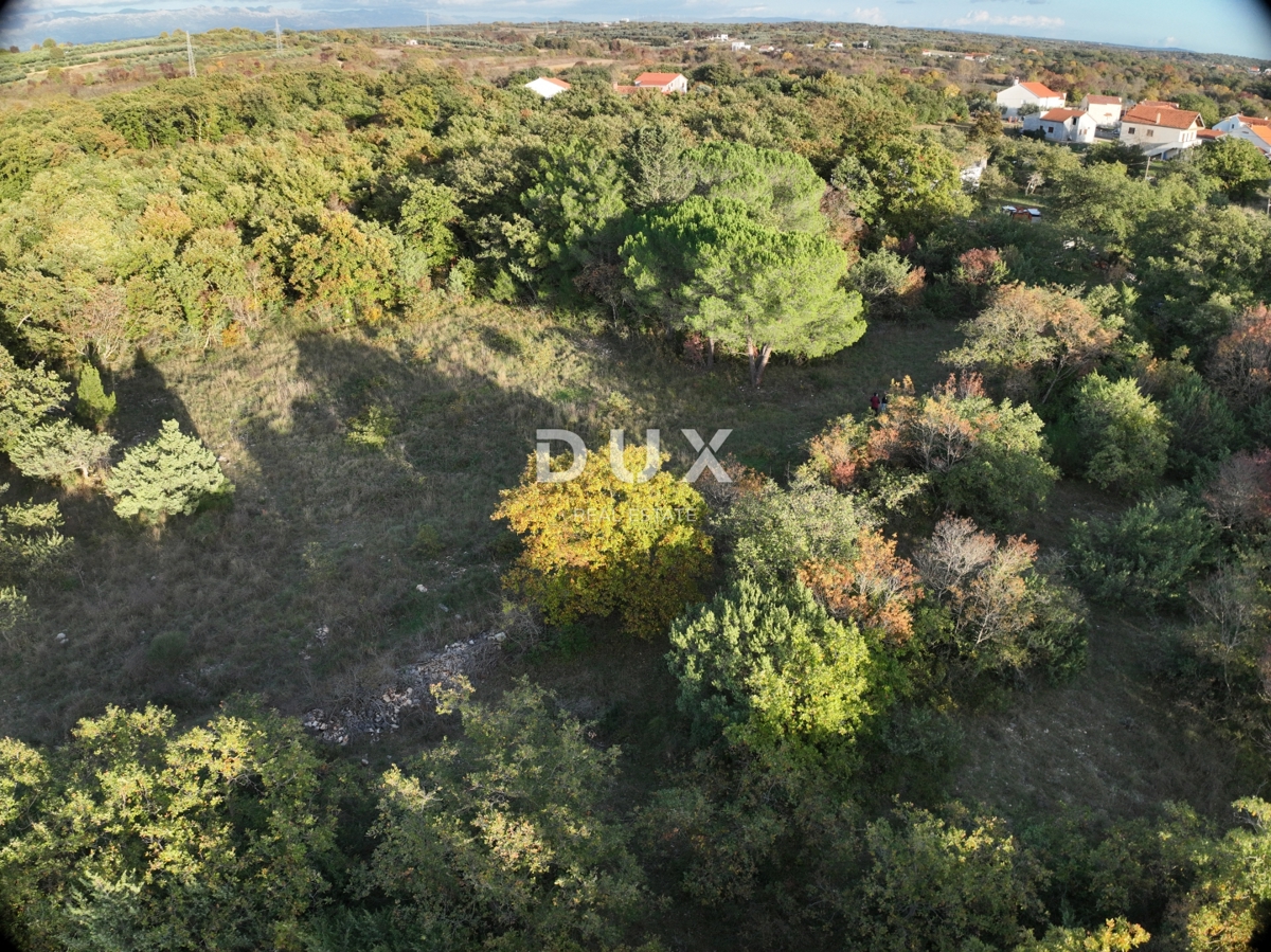 ZADAR, BRIŠEVO - Terreno edificabile in un tranquillo ambiente naturale! 698 m2! 85 €/m2!