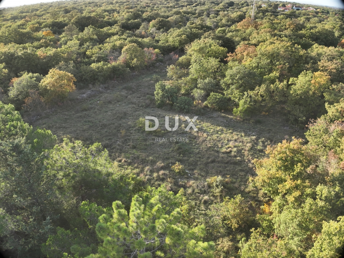 ZADAR, BRIŠEVO - Terreno edificabile in un tranquillo ambiente naturale! 698 m2! 85 €/m2!