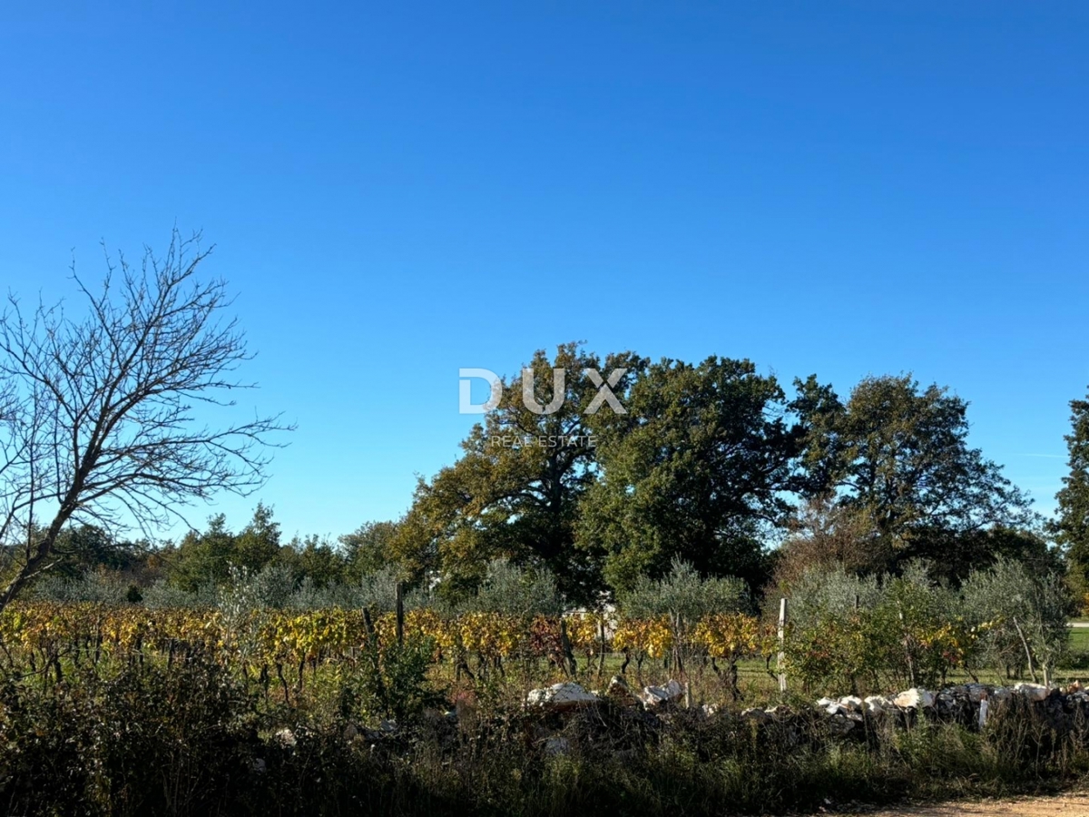 ISTRIA, ŽMINJ - Nuova casa mediterranea con vista sui vigneti in un complesso privato!