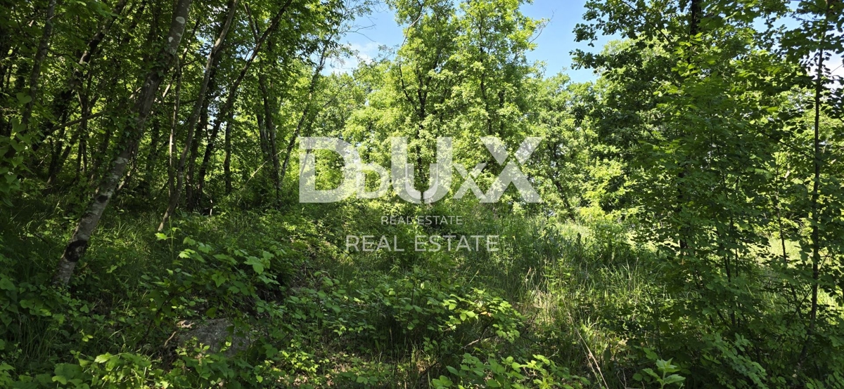 ISTRIA, GRAČIŠĆE - Campeggio nel cuore dell'Istria con ricca infrastruttura e terreno aggiuntivo