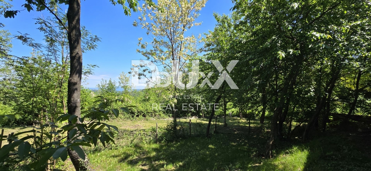 ISTRIA, GRAČIŠĆE - Campeggio nel cuore dell'Istria con ricca infrastruttura e terreno aggiuntivo