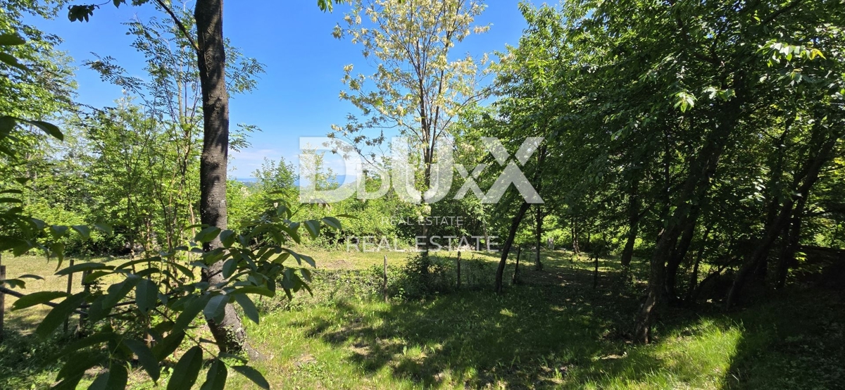 ISTRIA, GRAČIŠĆE - Campeggio nel cuore dell'Istria con ricca infrastruttura e terreno aggiuntivo