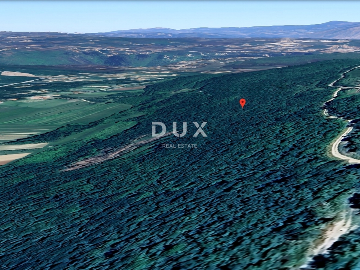 ISTRIA, ALBONA - Grande area boschiva