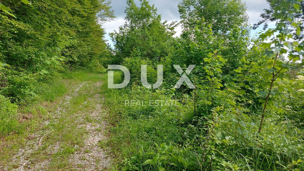 GORSKI KOTAR, FUŽINE - un progetto unico nel cuore del Gorski Kotar, terreno edificabile di 2140 m2 con progetto per una villa, opportunità di investimento!