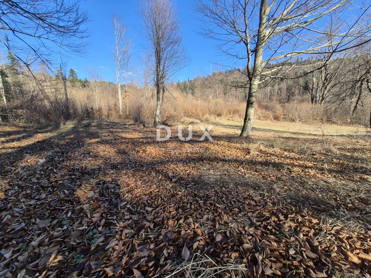 GORSKI KOTAR, FUŽINE - terreno edificabile 1107 m2 - opportunità di investimento!