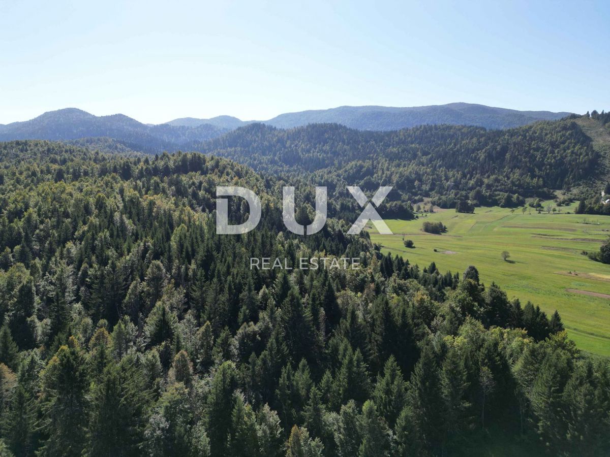 GORSKI KOTAR, SUNGER - terreno 9000m2 + vecchia casa + 2 annessi CON PERMESSO DI COSTRUZIONE!!