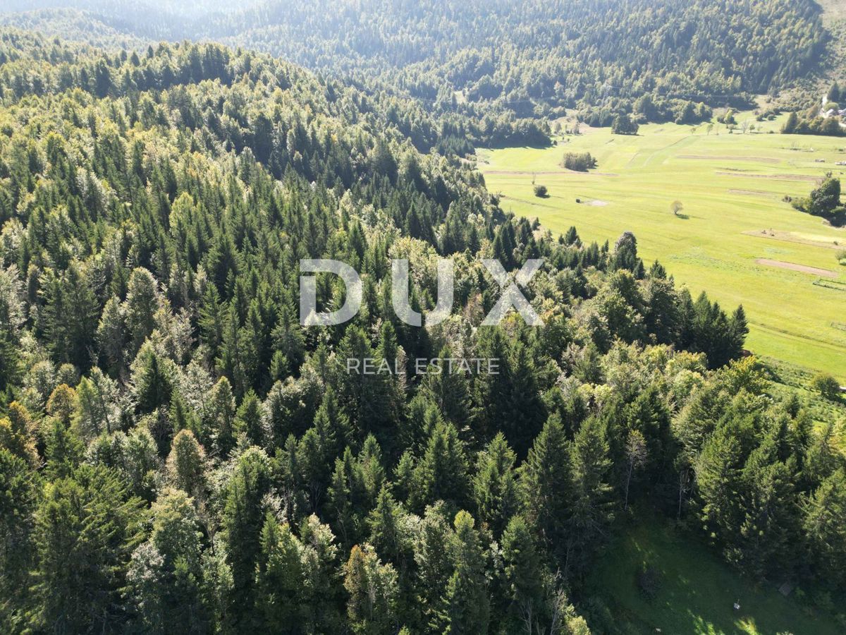 GORSKI KOTAR, SUNGER - terreno 9000m2 + vecchia casa + 2 annessi CON PERMESSO DI COSTRUZIONE!!