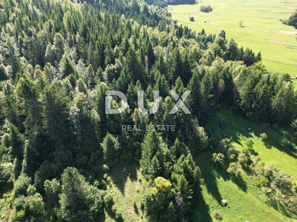 GORSKI KOTAR, SUNGER - terreno 9000m2 + vecchia casa + 2 annessi CON PERMESSO DI COSTRUZIONE!!