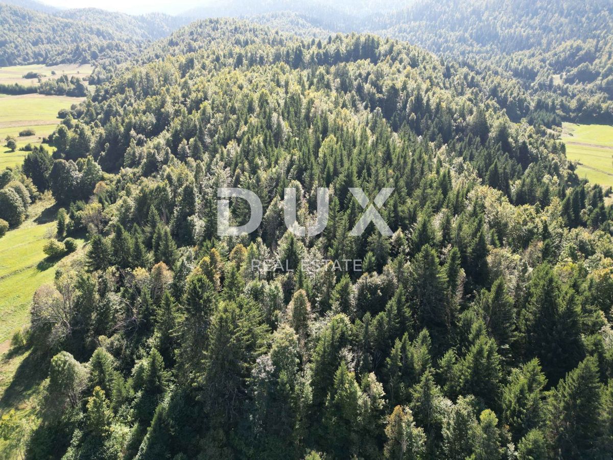 GORSKI KOTAR, SUNGER - terreno 9000m2 + vecchia casa + 2 annessi CON PERMESSO DI COSTRUZIONE!!