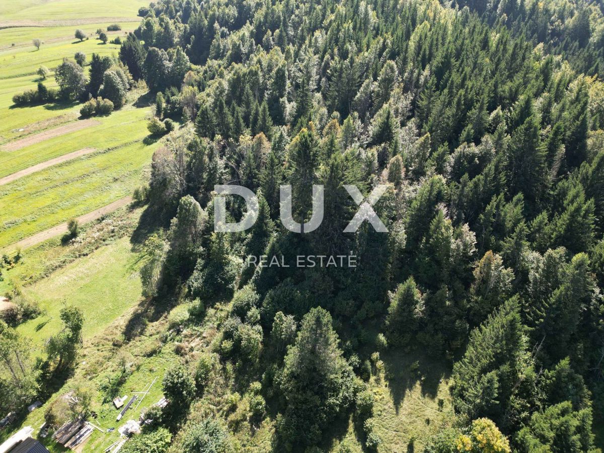 GORSKI KOTAR, SUNGER - terreno 9000m2 + vecchia casa + 2 annessi CON PERMESSO DI COSTRUZIONE!!