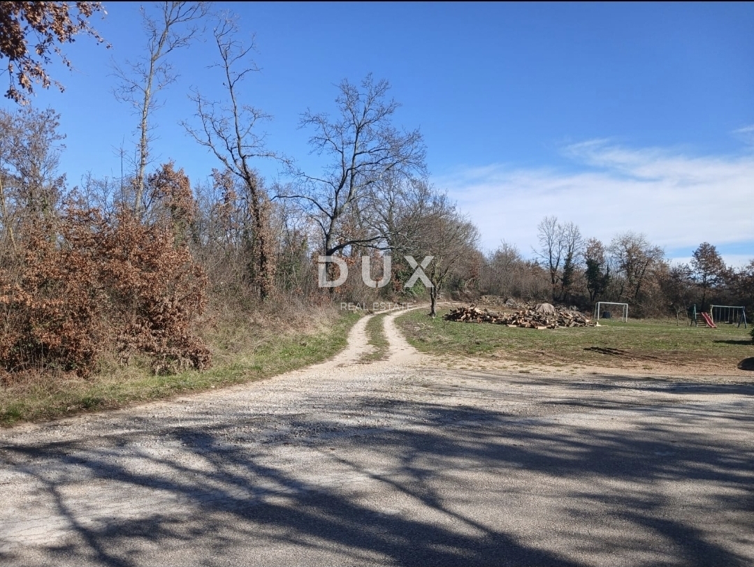 ISTRIA, ŽMINJ - Terreno edificabile di 5.500 m² con possibilità di conversione