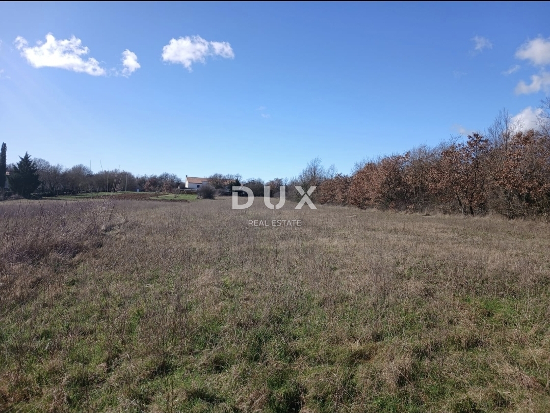 ISTRIA, ŽMINJ - Terreno edificabile di 5.500 m² con possibilità di conversione