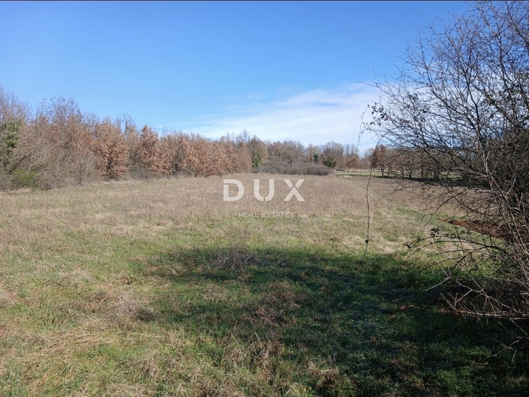 ISTRIA, ŽMINJ - Terreno edificabile di 5.500 m² con possibilità di conversione