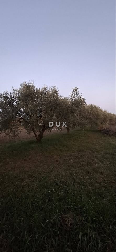 ISTRIA, VODNJAN - Terreno edificabile