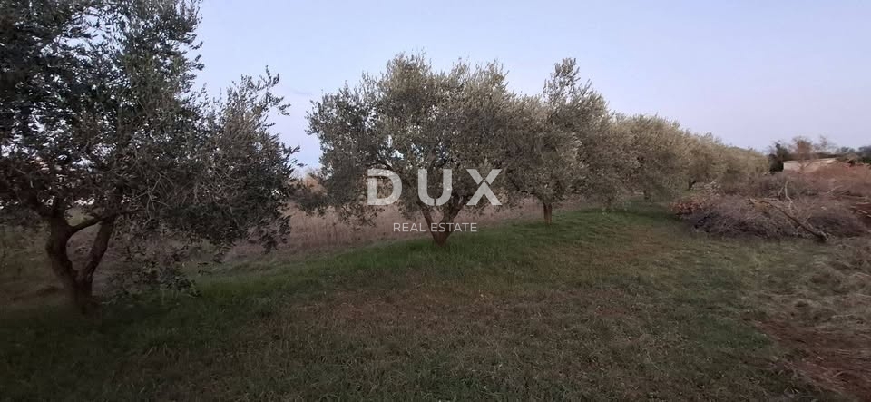 ISTRIA, VODNJAN - Terreno edificabile